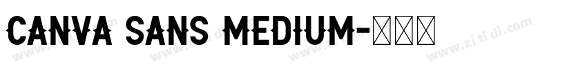Canva Sans Medium字体转换